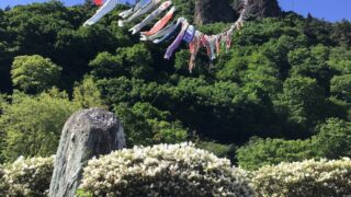 霊山　嵩山(たけやま)の鯉のぼり