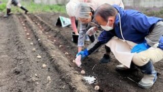 今年も畑仕事♫🥔🍅🥒🍆
