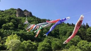 鯉のぼり見学🎏